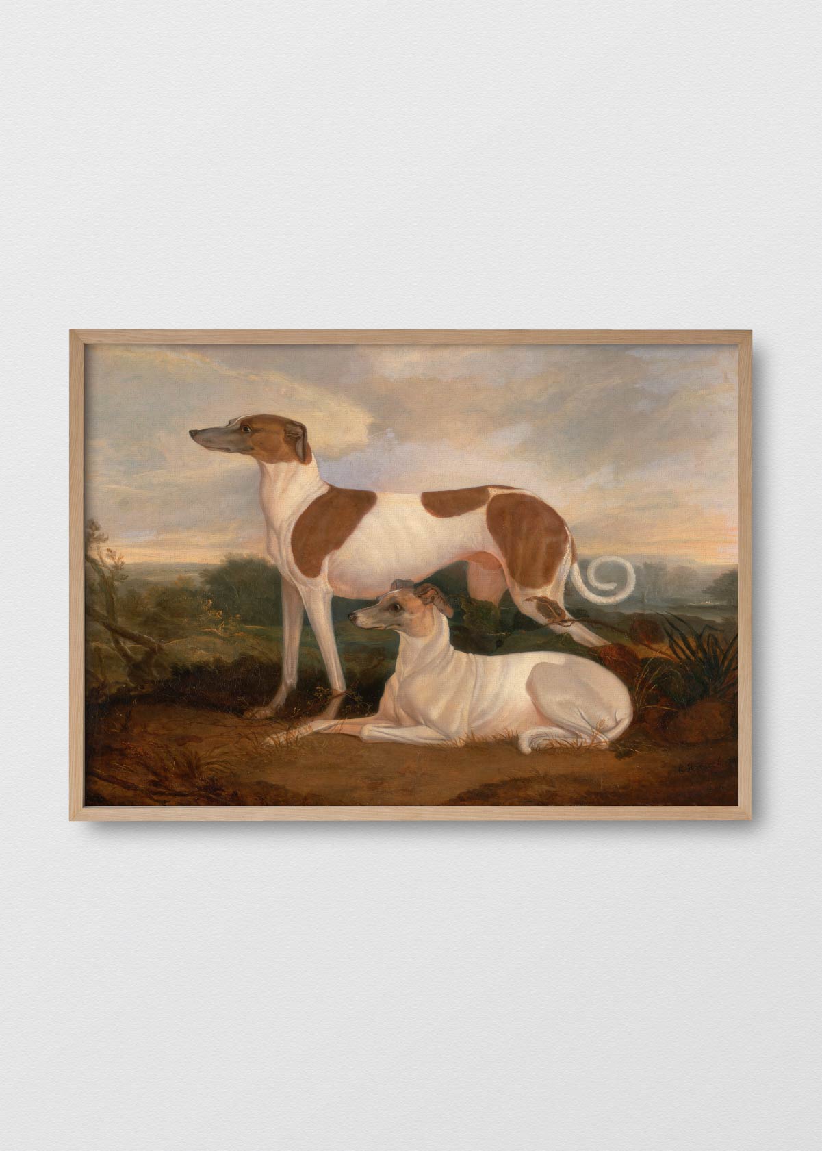 Canvas Galgos - Testimoniaprints