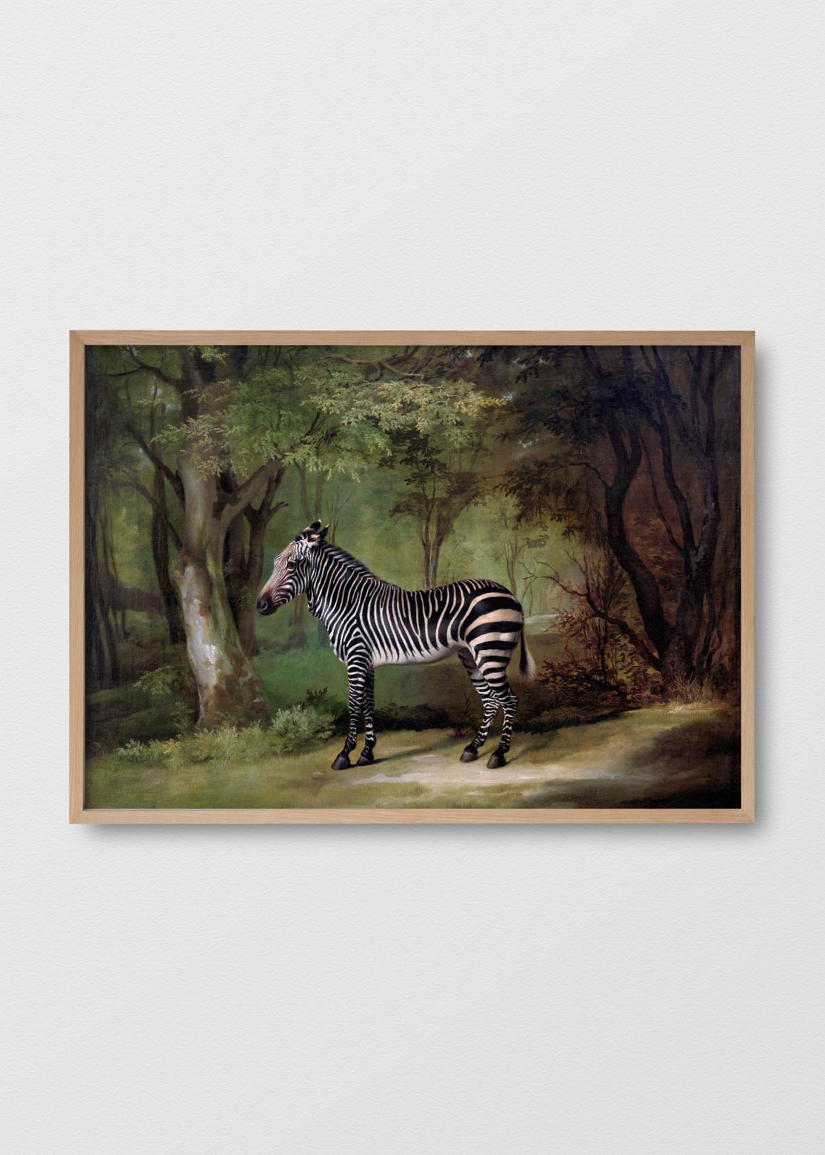 Canvas Zebra Foresta - Testimoniaprints