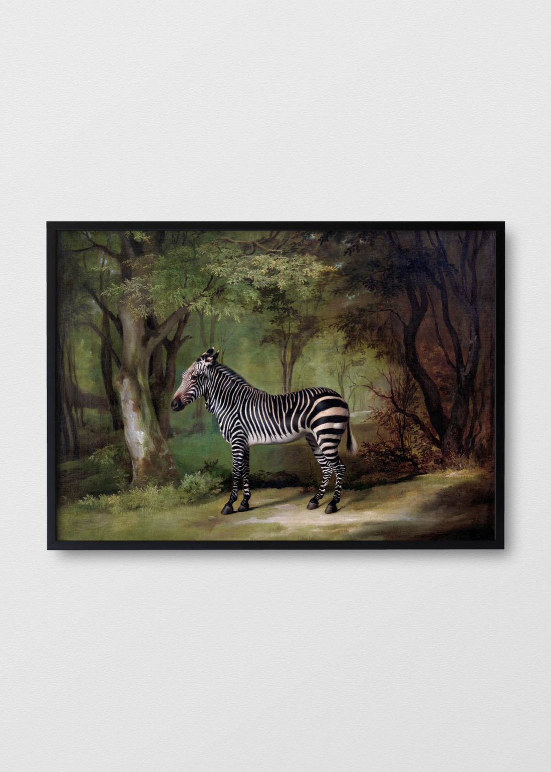 Canvas Zebra Foresta - Testimoniaprints