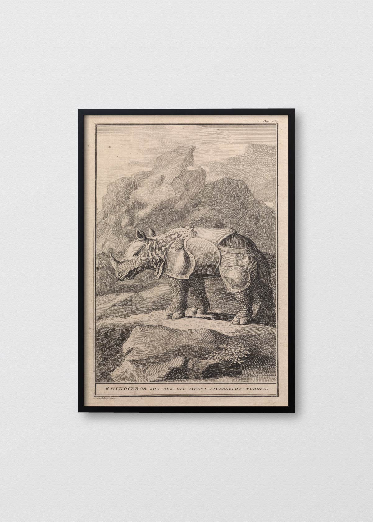 Cuadro Lino Ancient Rhino - Testimoniaprints