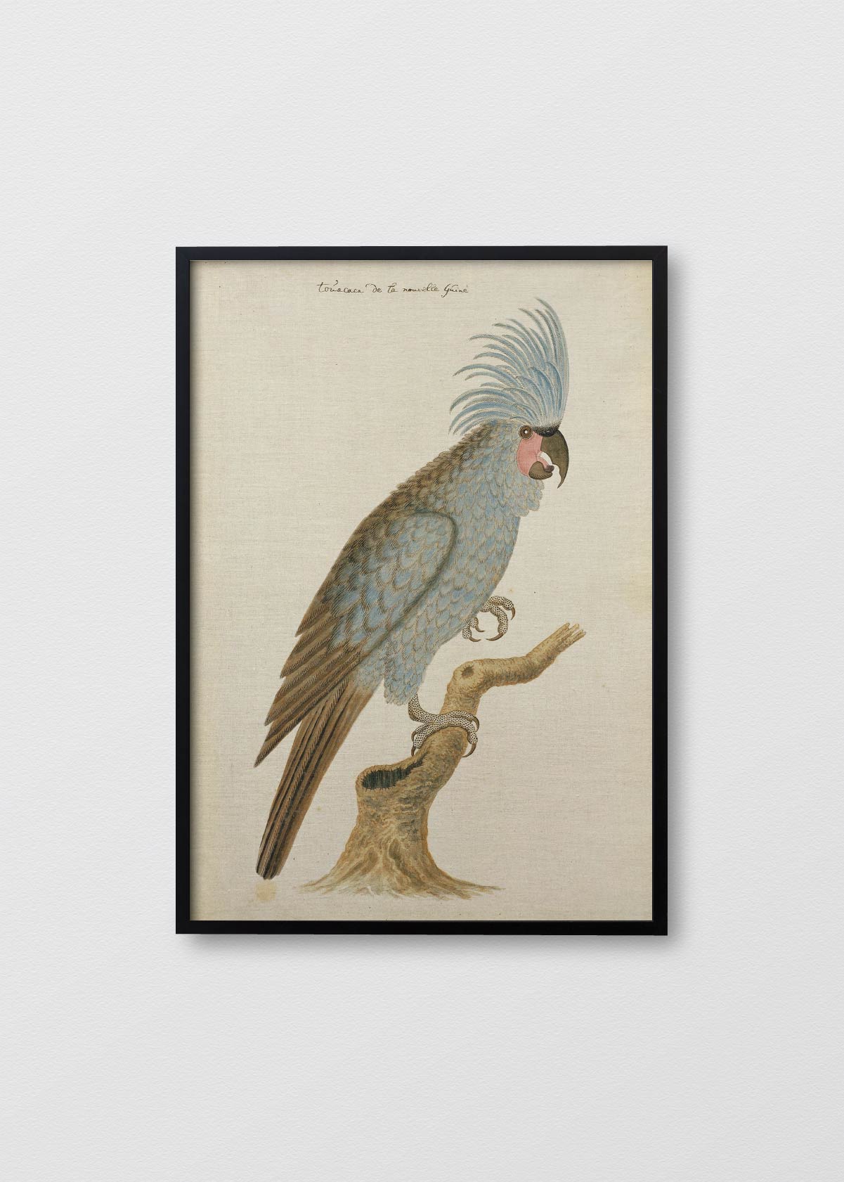 Cuadro Lino Antique Bird III - Testimoniaprints