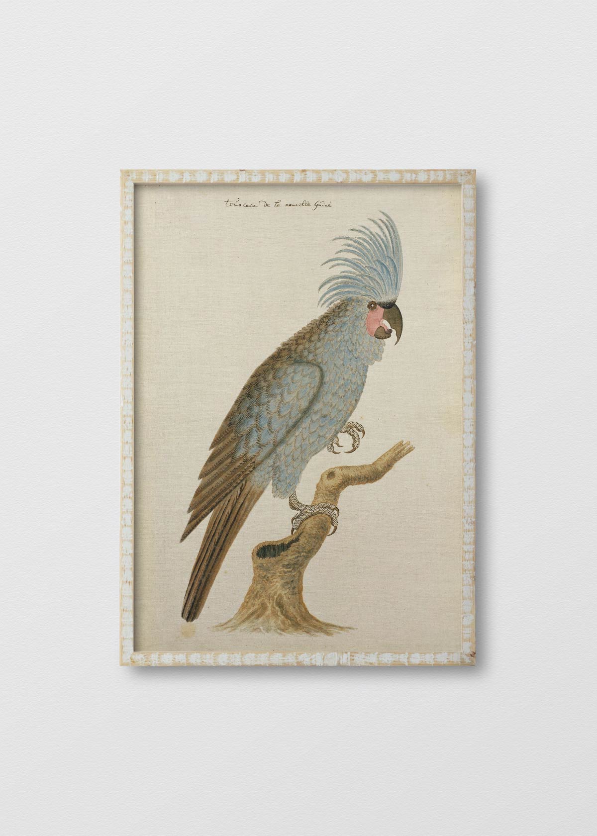Cuadro Lino Antique Bird III - Testimoniaprints
