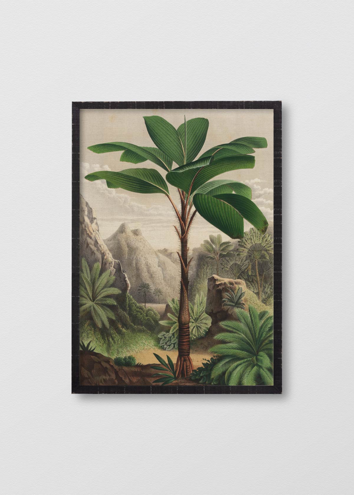 Cuadro Lino Banana Tree - Testimoniaprints