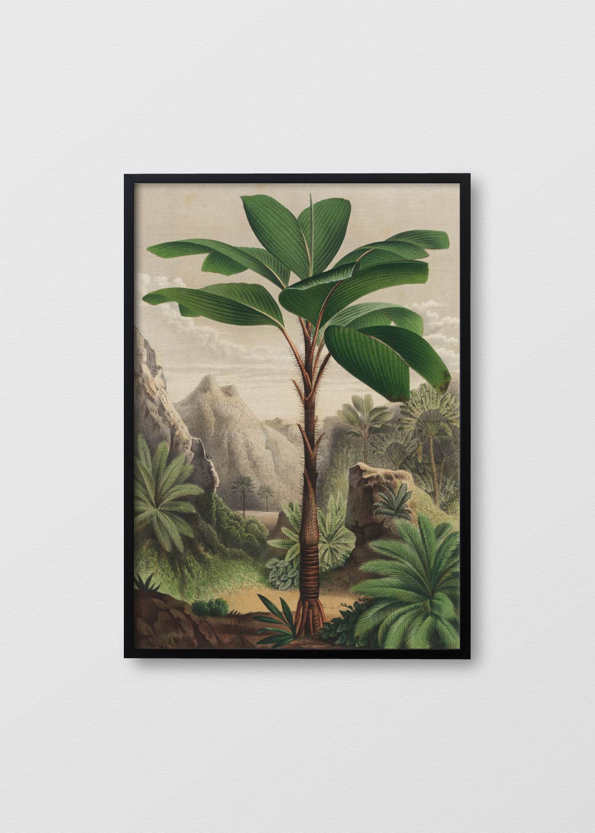 Cuadro Lino Banana Tree - Testimoniaprints