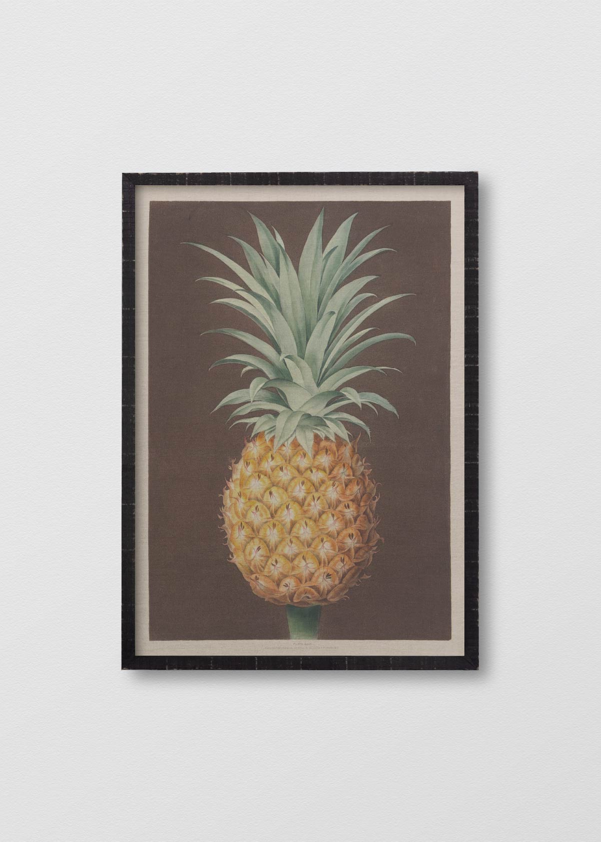 Cuadro Lino Pineapple N1 - Testimoniaprints