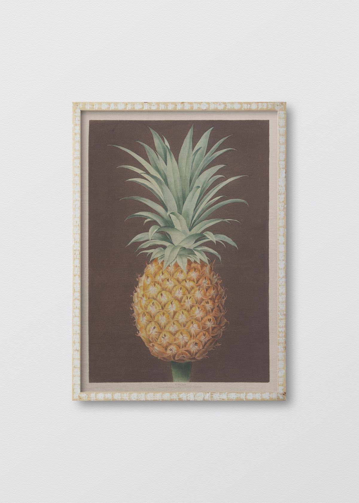 Cuadro Lino Pineapple N1 - Testimoniaprints