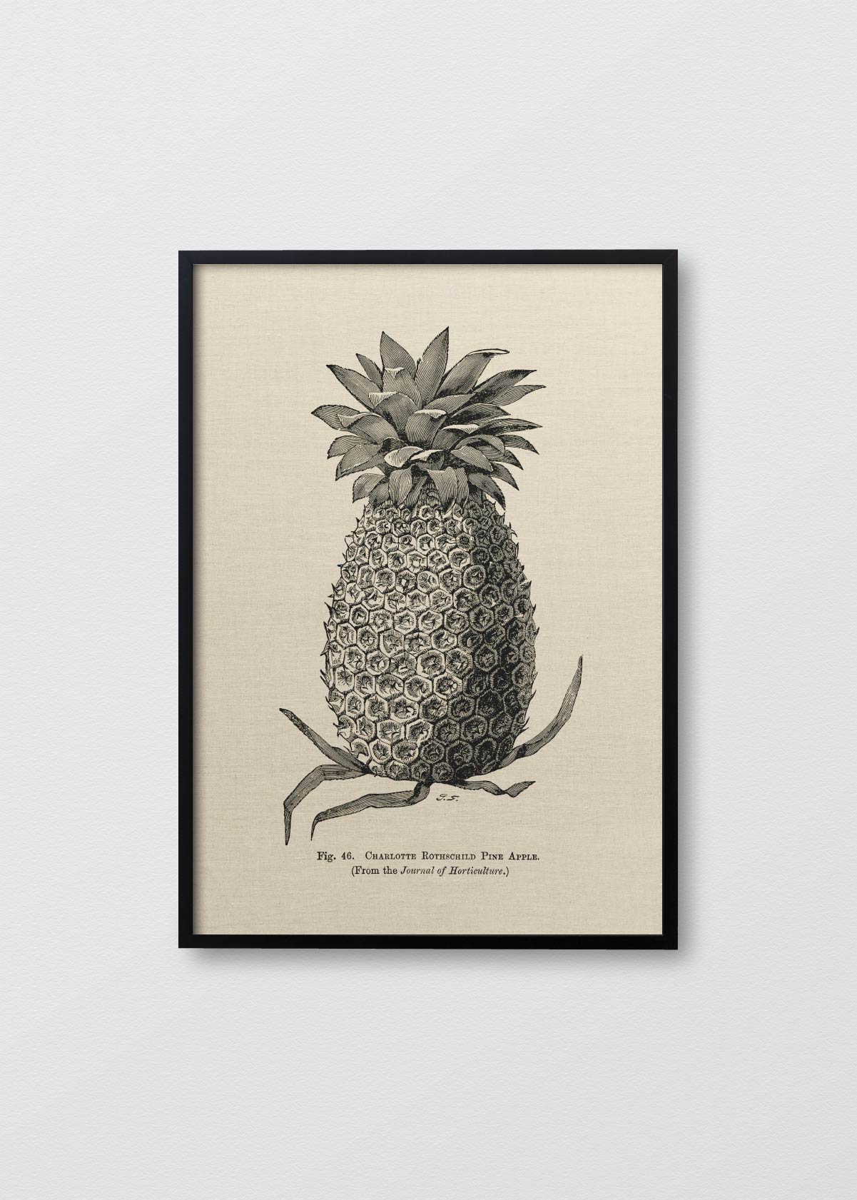 Cuadro Lino Pineapple N2 - Testimoniaprints