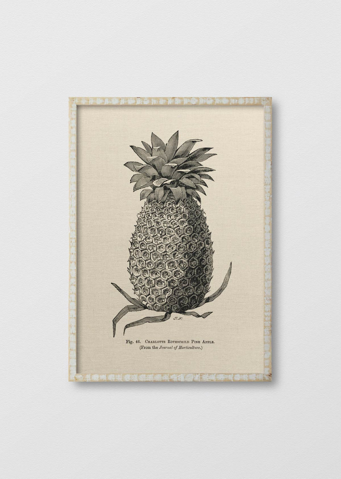 Cuadro Lino Pineapple N2 - Testimoniaprints