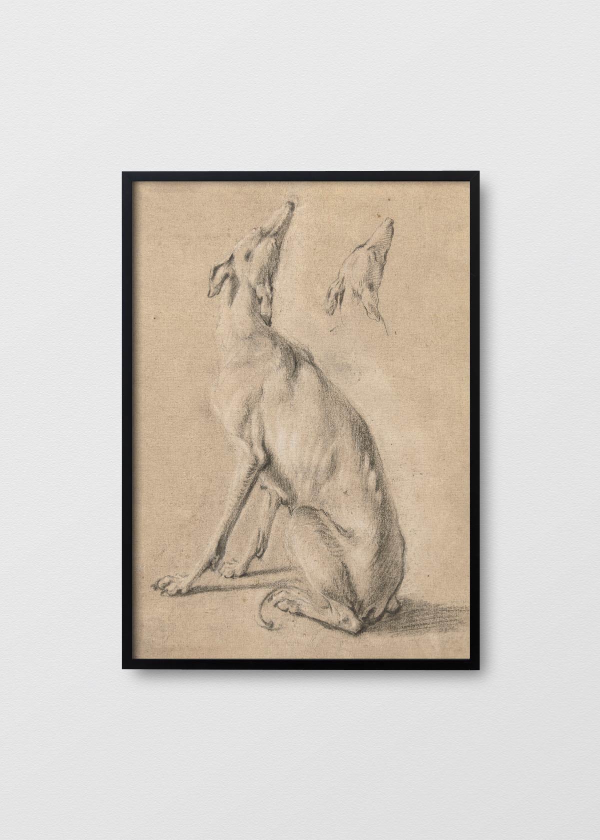Dibujo Galgo - Testimoniaprints