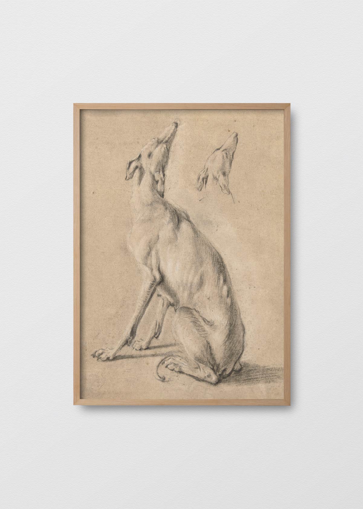 Dibujo Galgo - Testimoniaprints