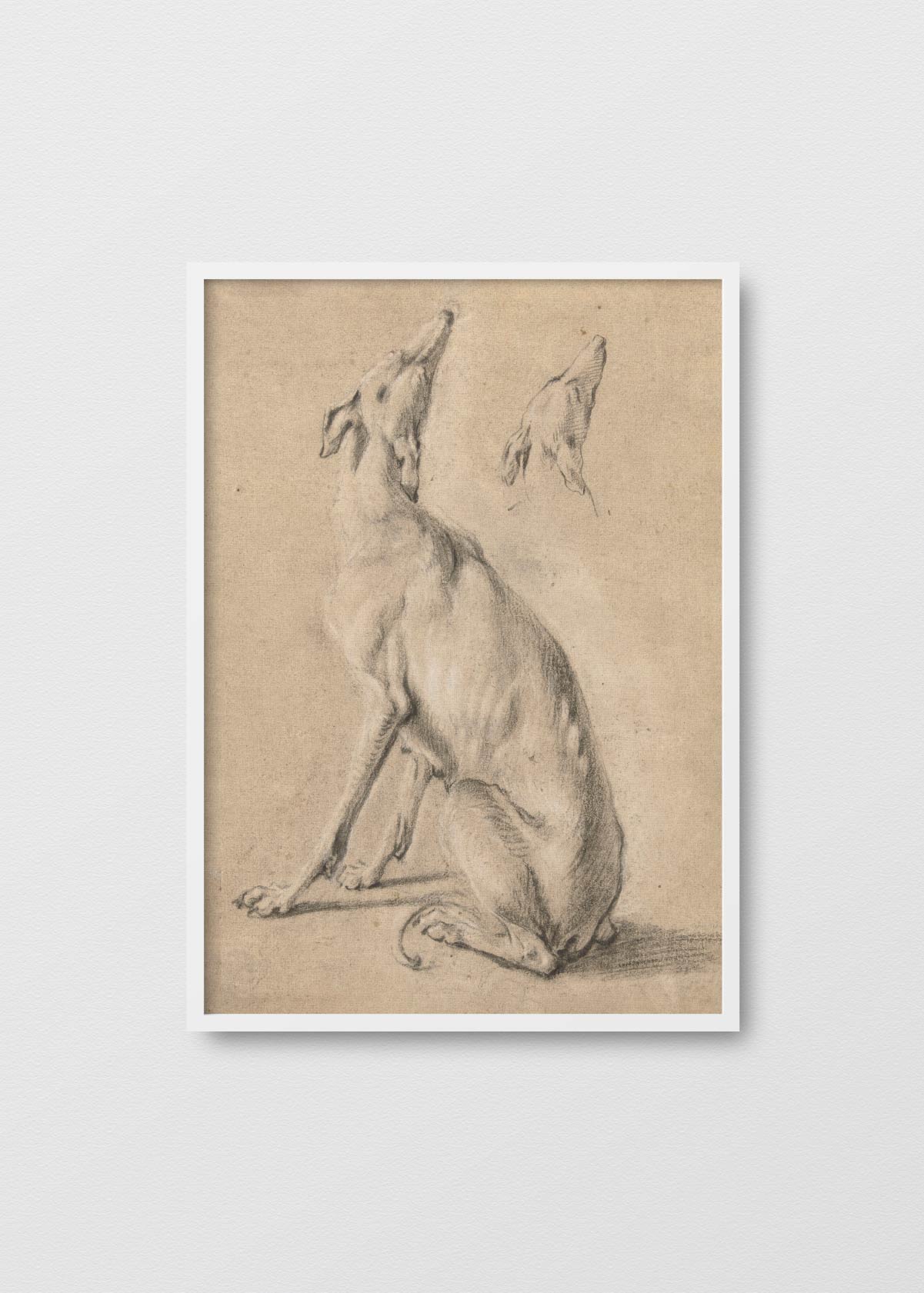 Dibujo Galgo - Testimoniaprints
