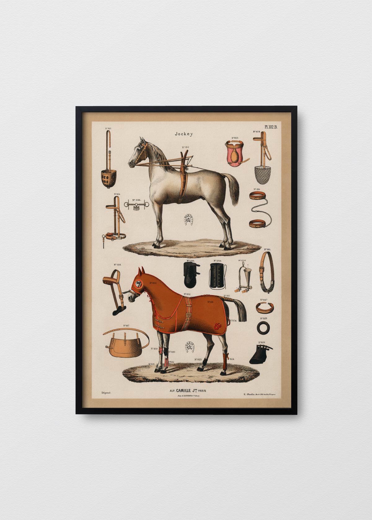 Equestrian Antique - Testimoniaprints