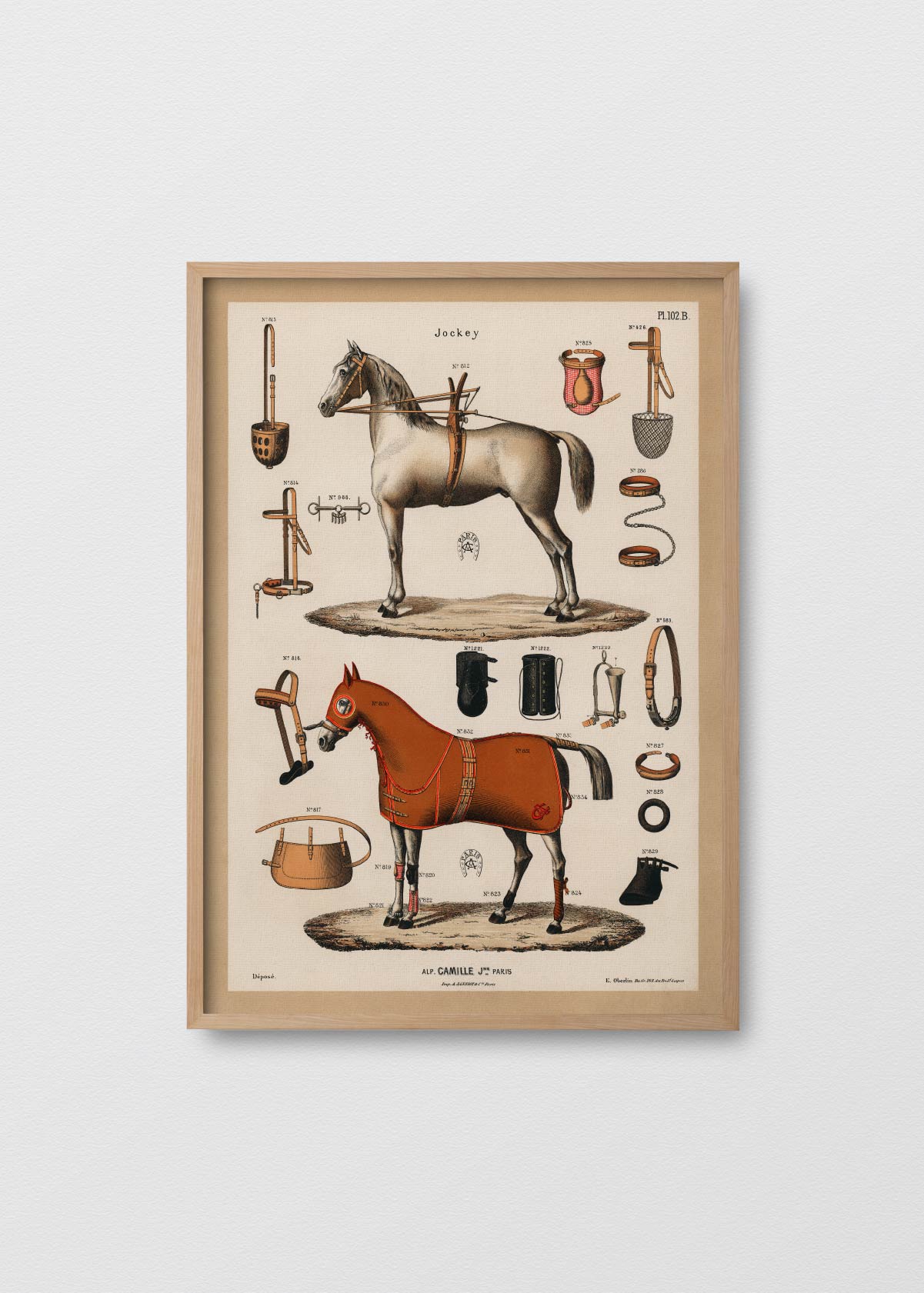 Equestrian Antique - Testimoniaprints