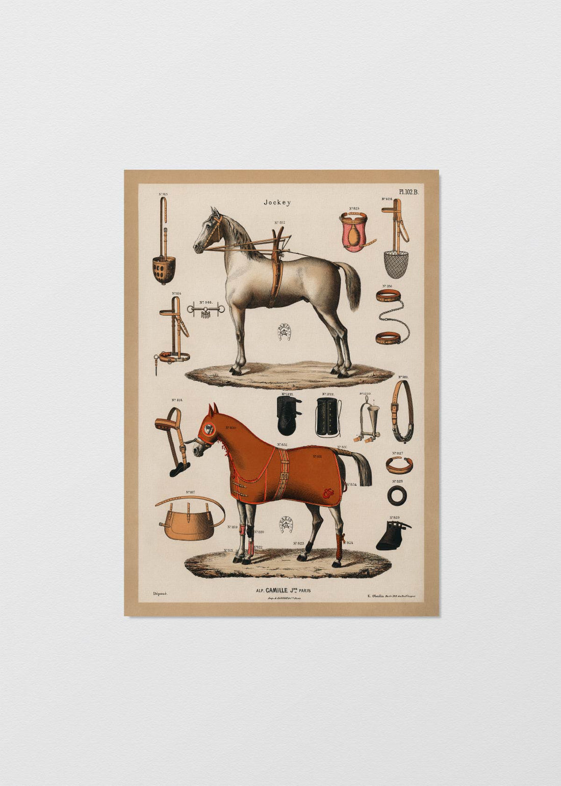 Equestrian Antique - Testimoniaprints