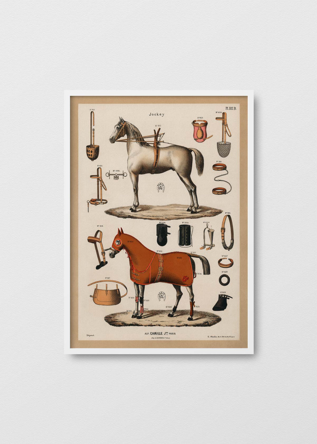 Equestrian Antique - Testimoniaprints