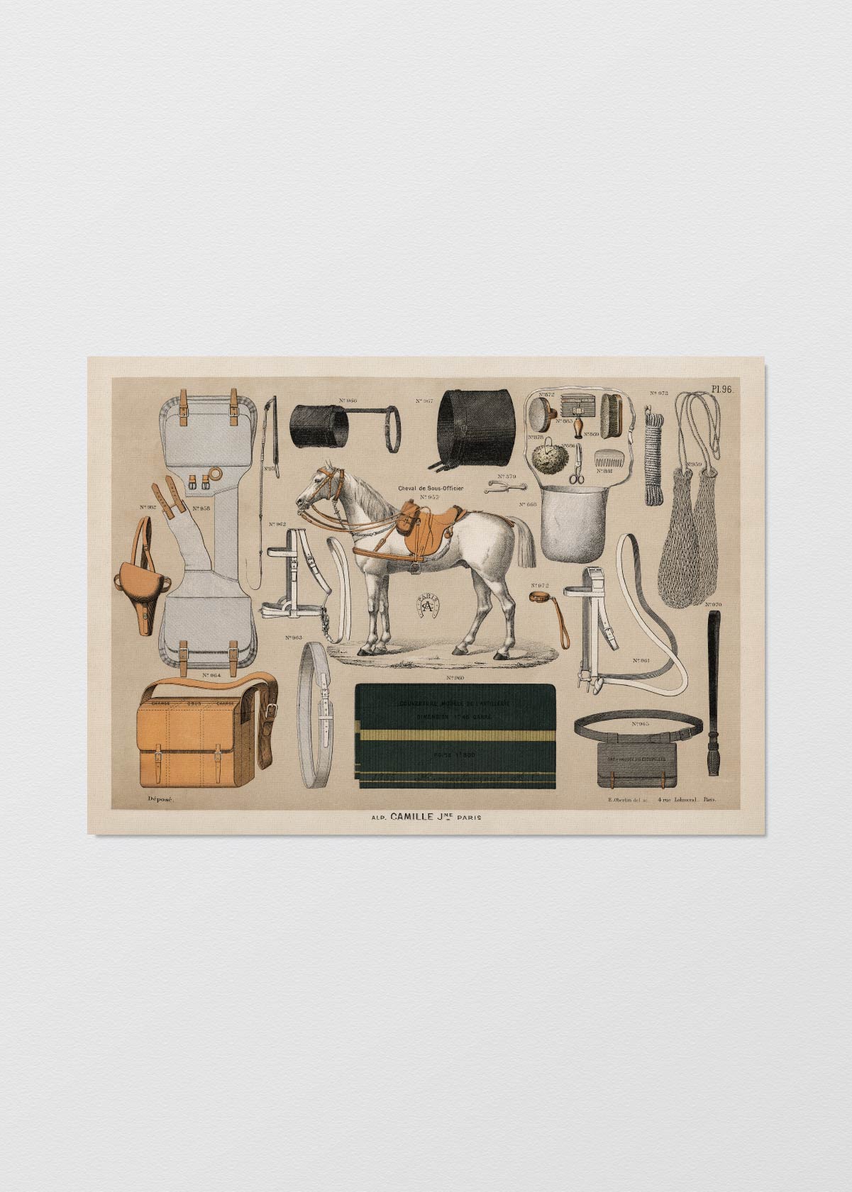 Equestrian Antique Poster II - Testimoniaprints