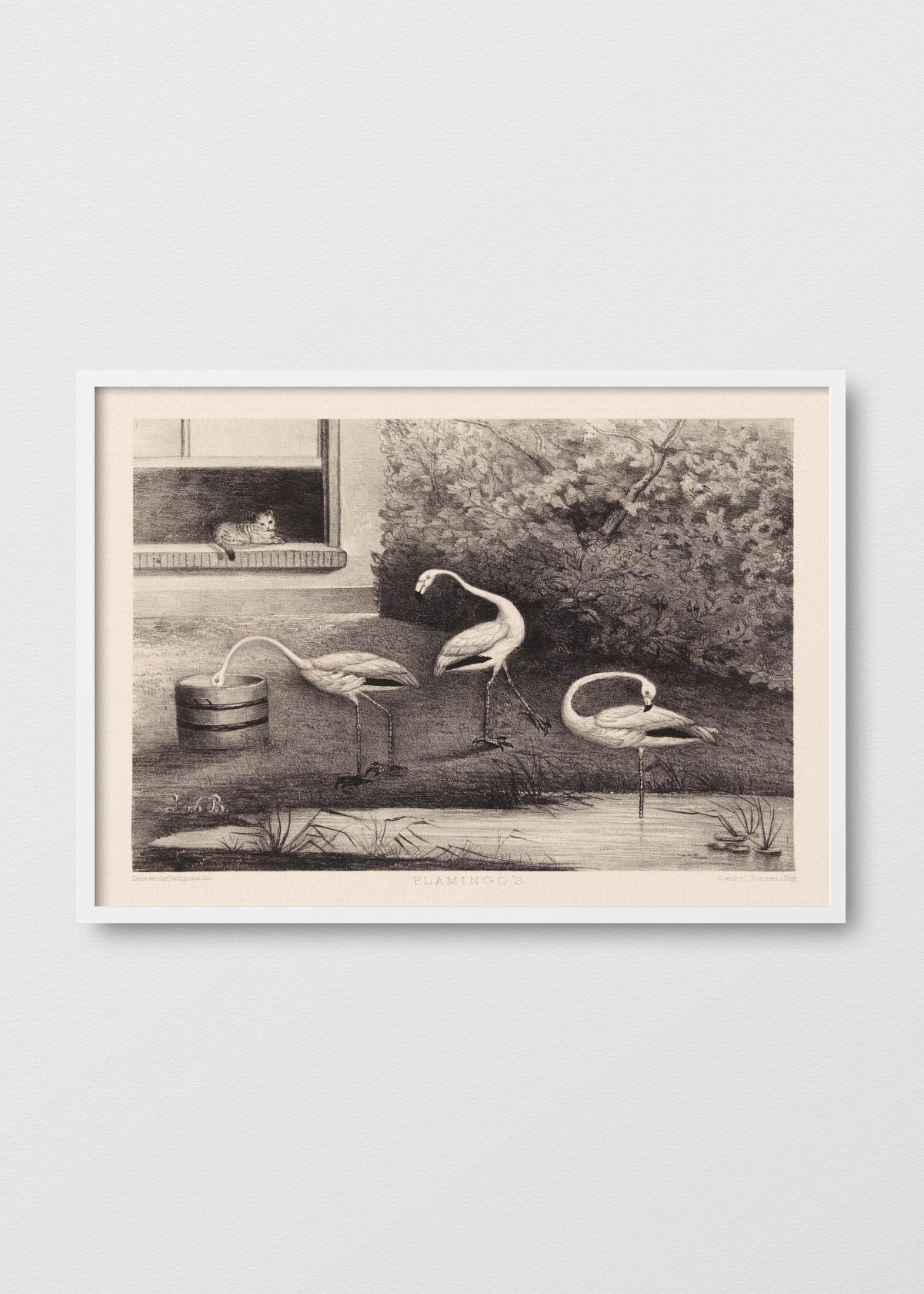 Flamingo Landscape - Testimoniaprints