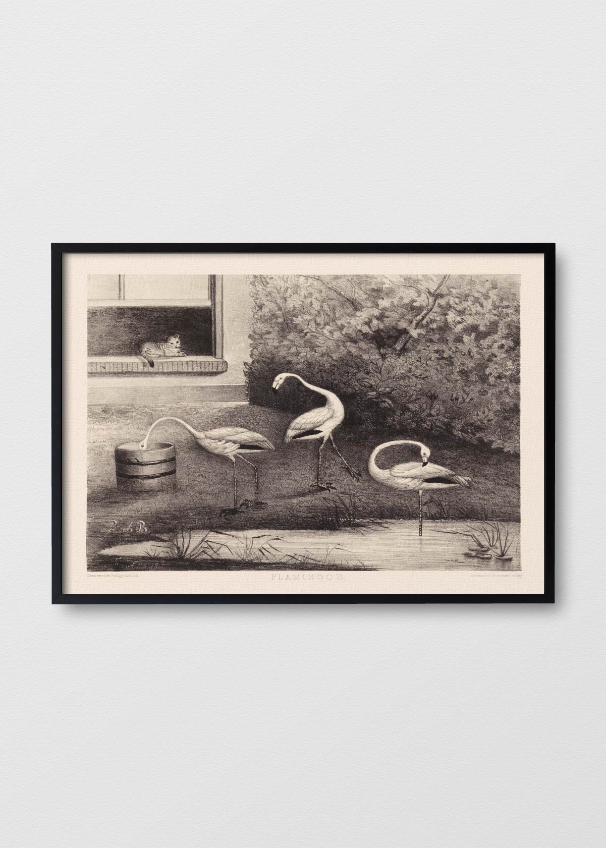 Flamingo Landscape - Testimoniaprints