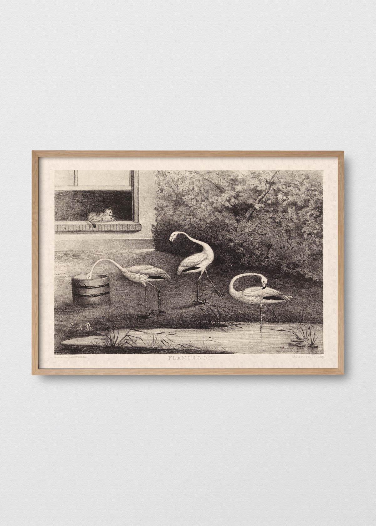 Flamingo Landscape - Testimoniaprints