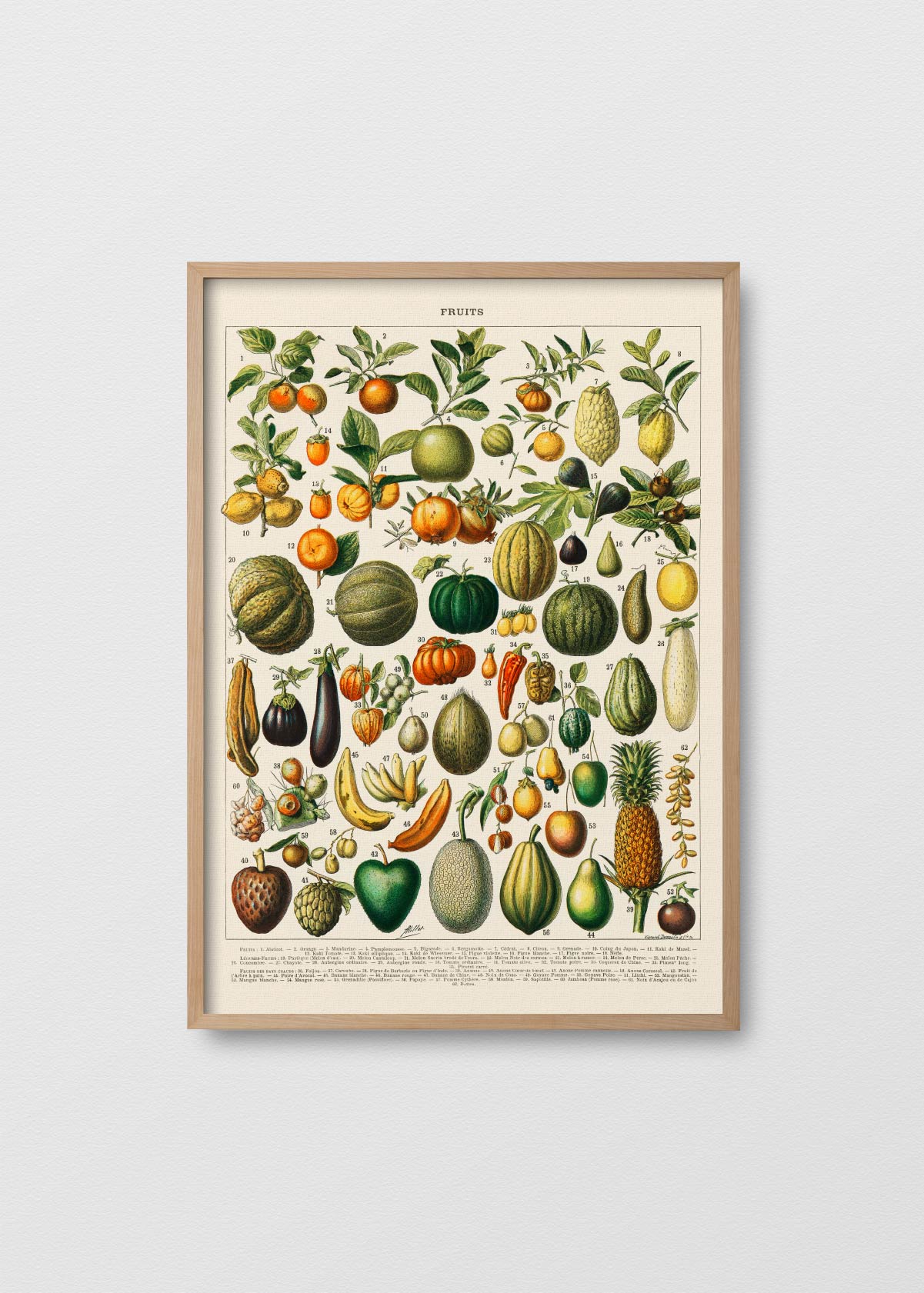 Fruits - Testimoniaprints