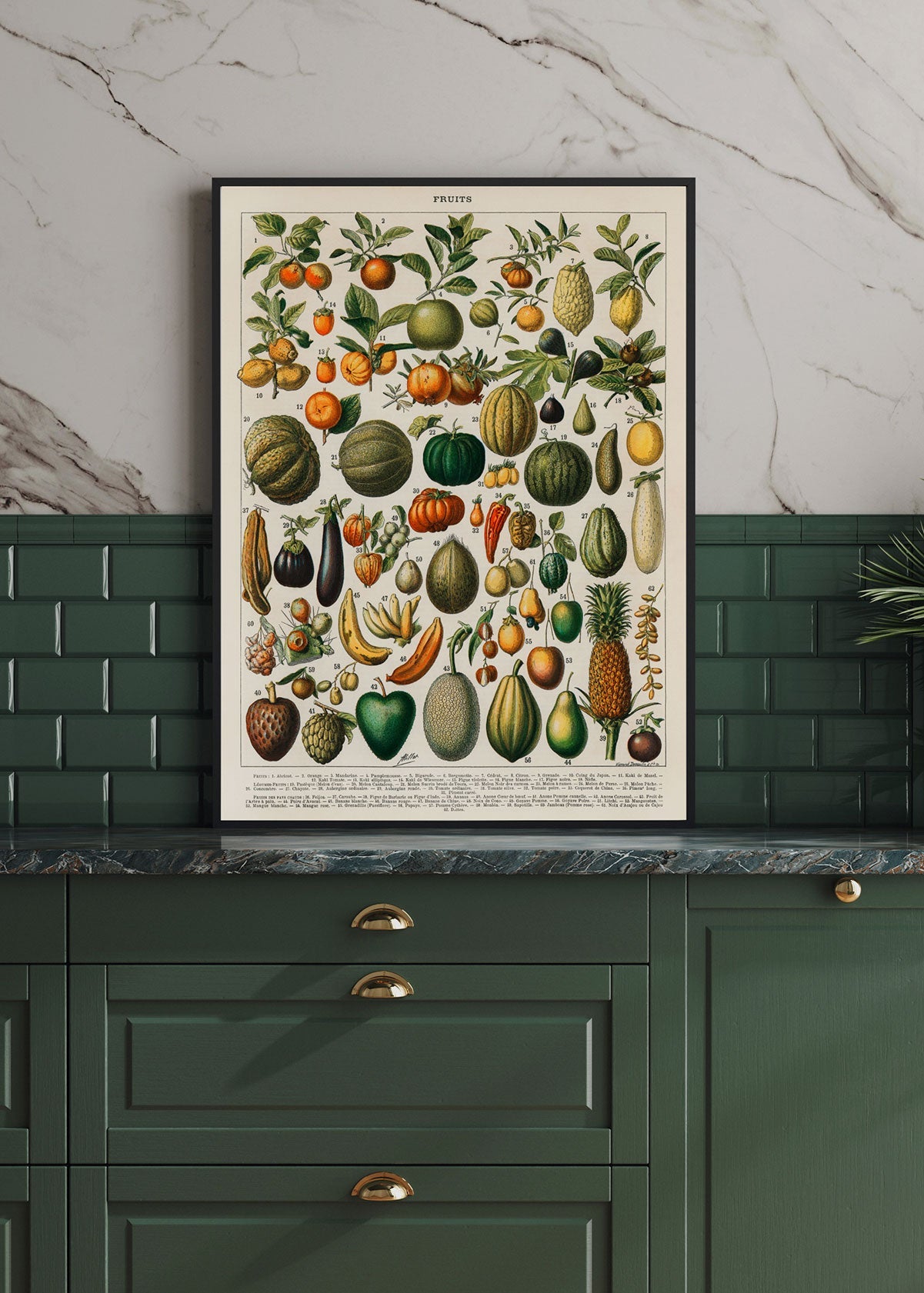 Fruits - Testimoniaprints
