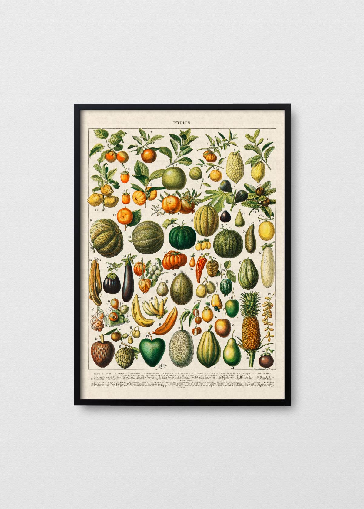 Fruits - Testimoniaprints