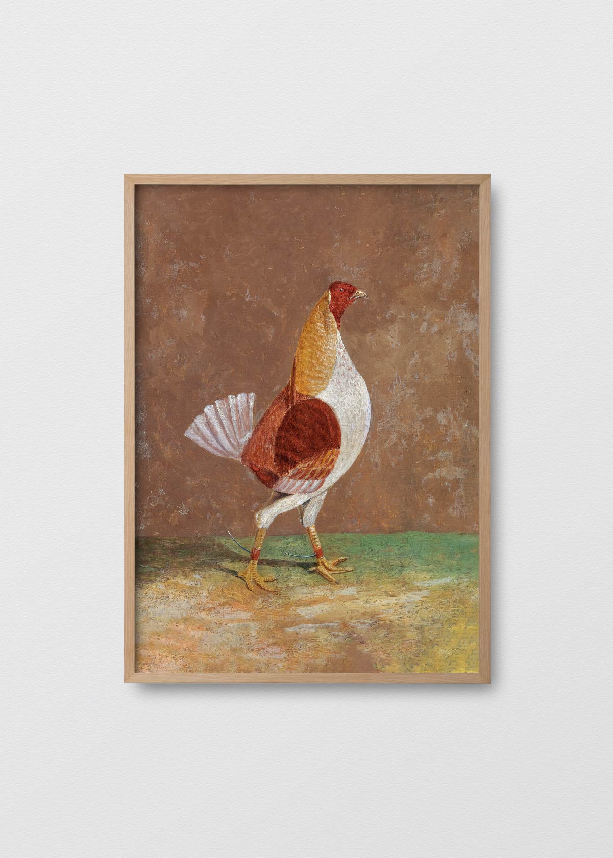 Cuadro Papel Algodón gallo – Testimonia