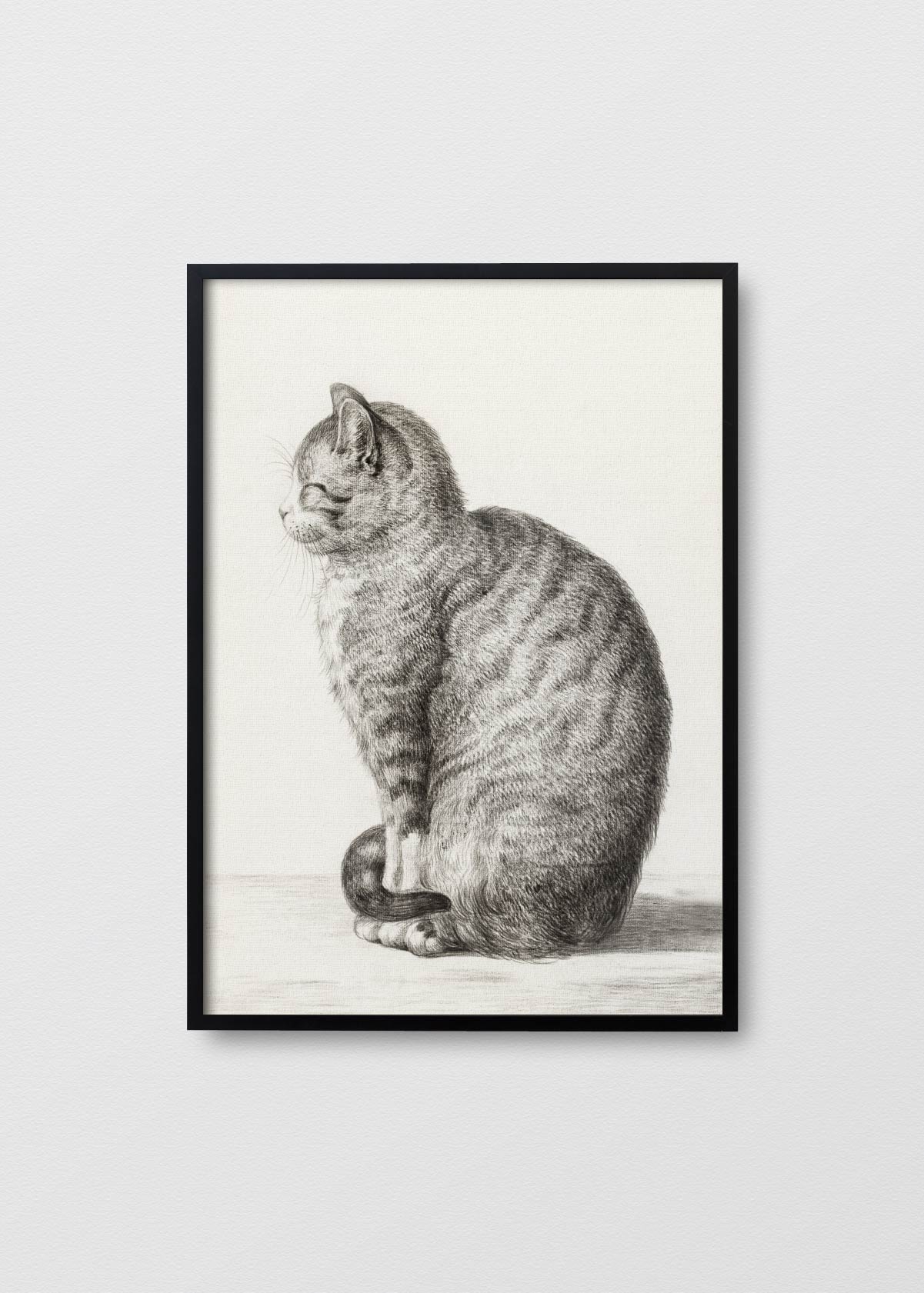 Gatito - Testimoniaprints