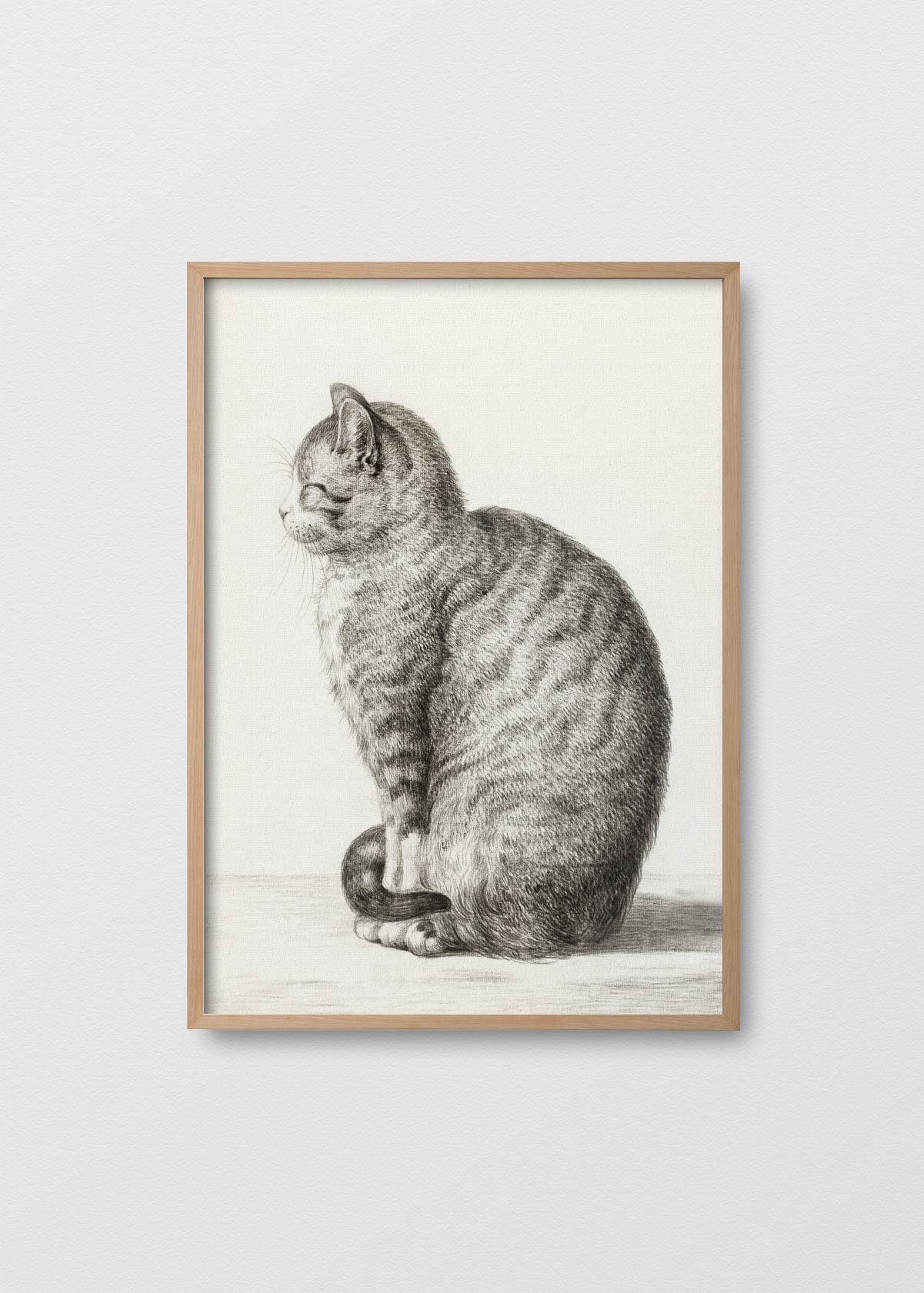 Gatito - Testimoniaprints