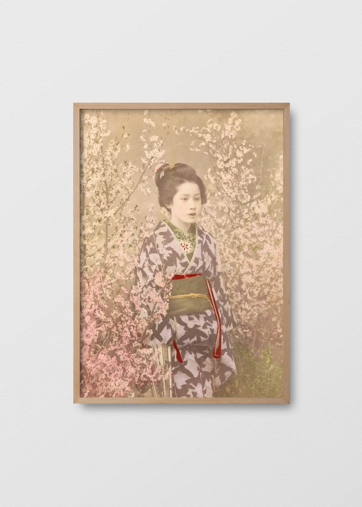 Geisha entre Cerezos - Testimoniaprints