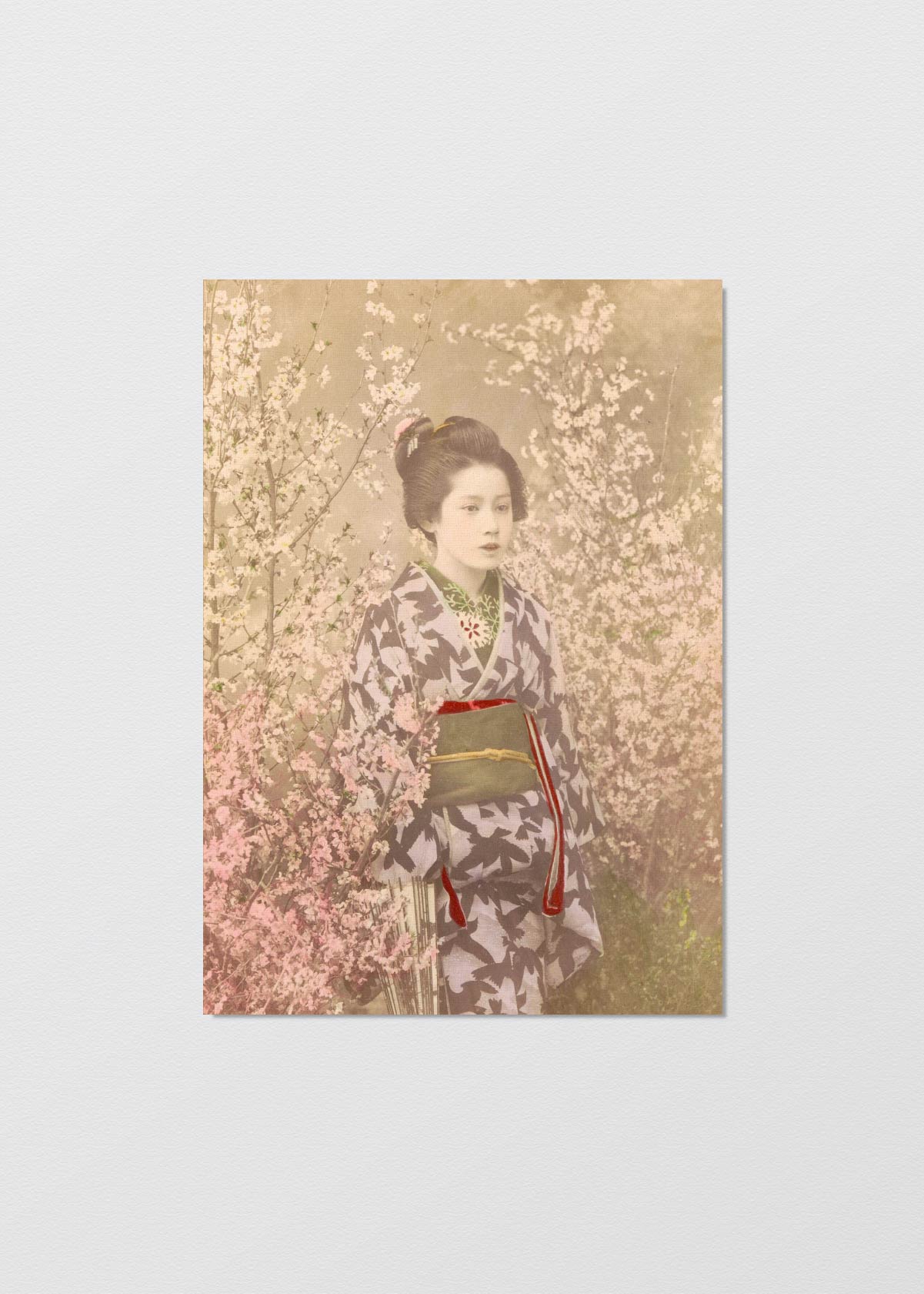 Geisha entre Cerezos - Testimoniaprints