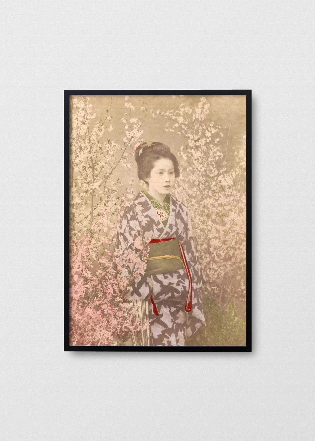 Geisha entre Cerezos - Testimoniaprints