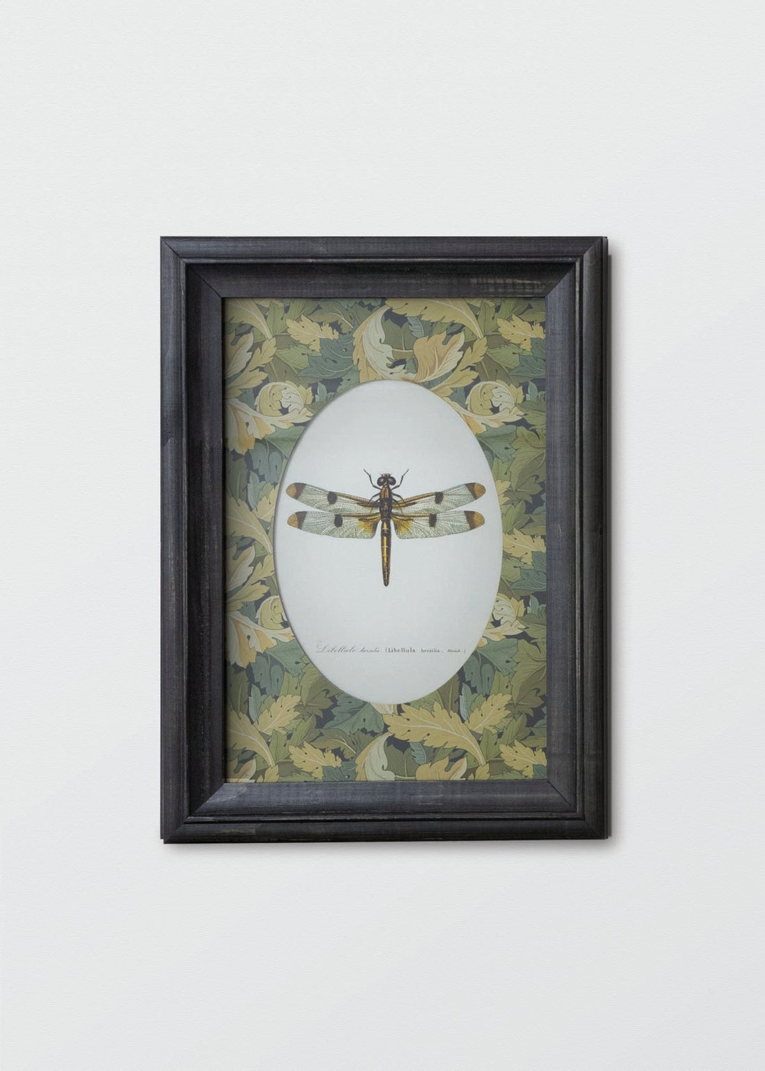 Insectos William Morris - Testimoniaprints