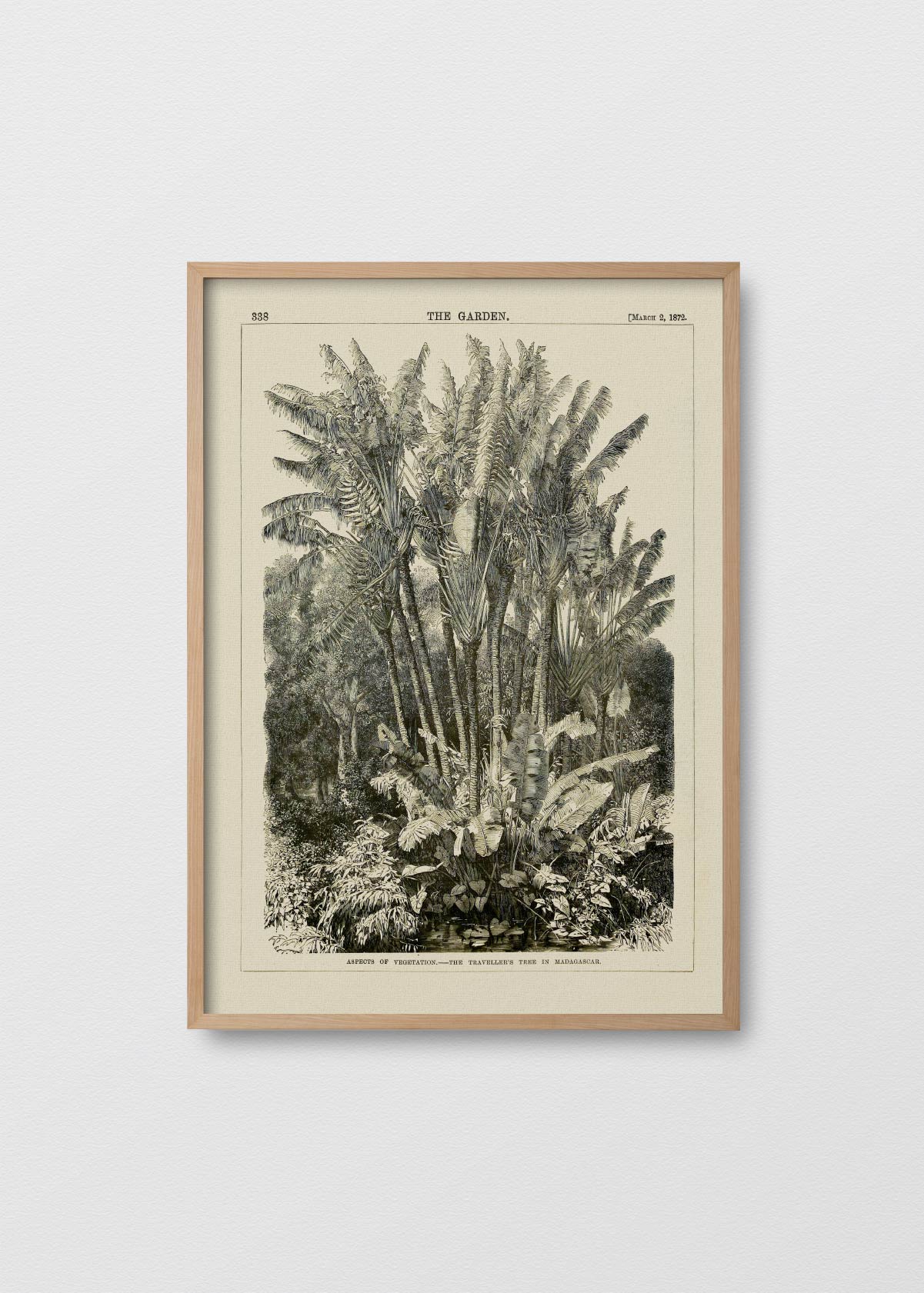 Jungla Blanco y Negro N1 - Testimoniaprints