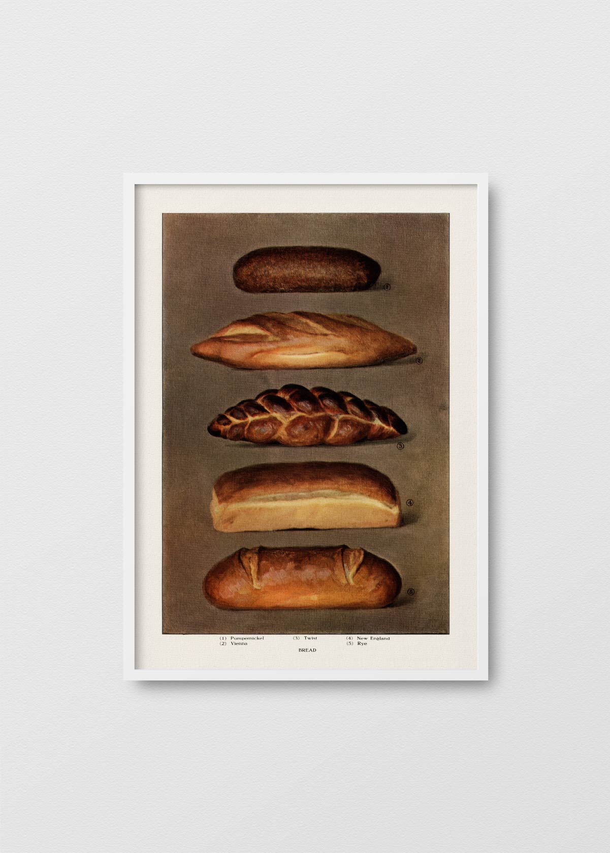 Le Pain Quotidien N1 - Testimoniaprints