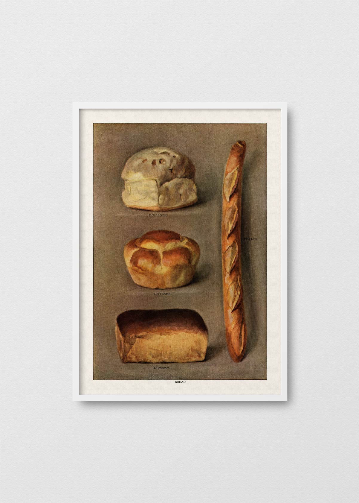 Le Pain Quotidien N2 - Testimoniaprints