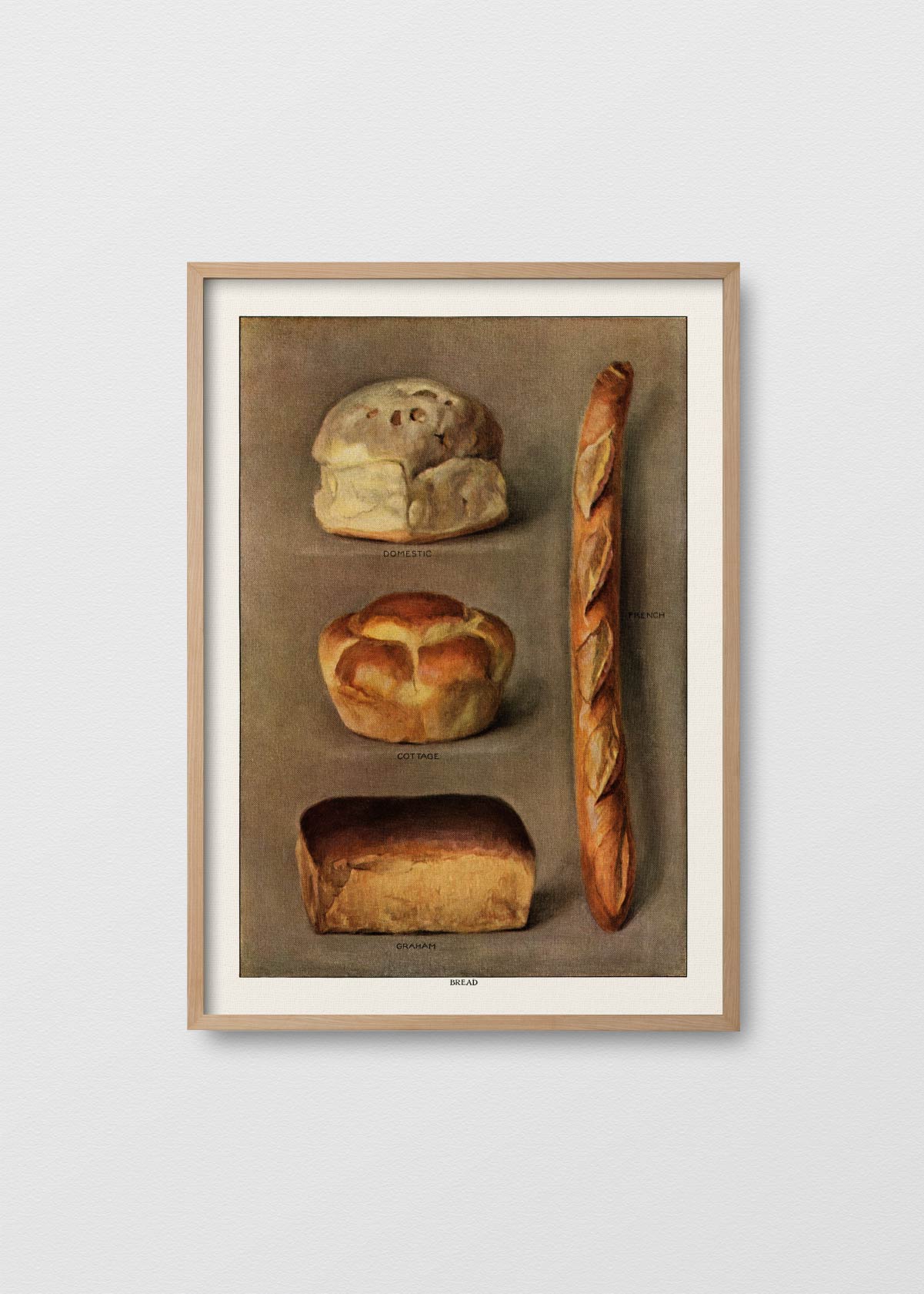 Le Pain Quotidien N2 - Testimoniaprints