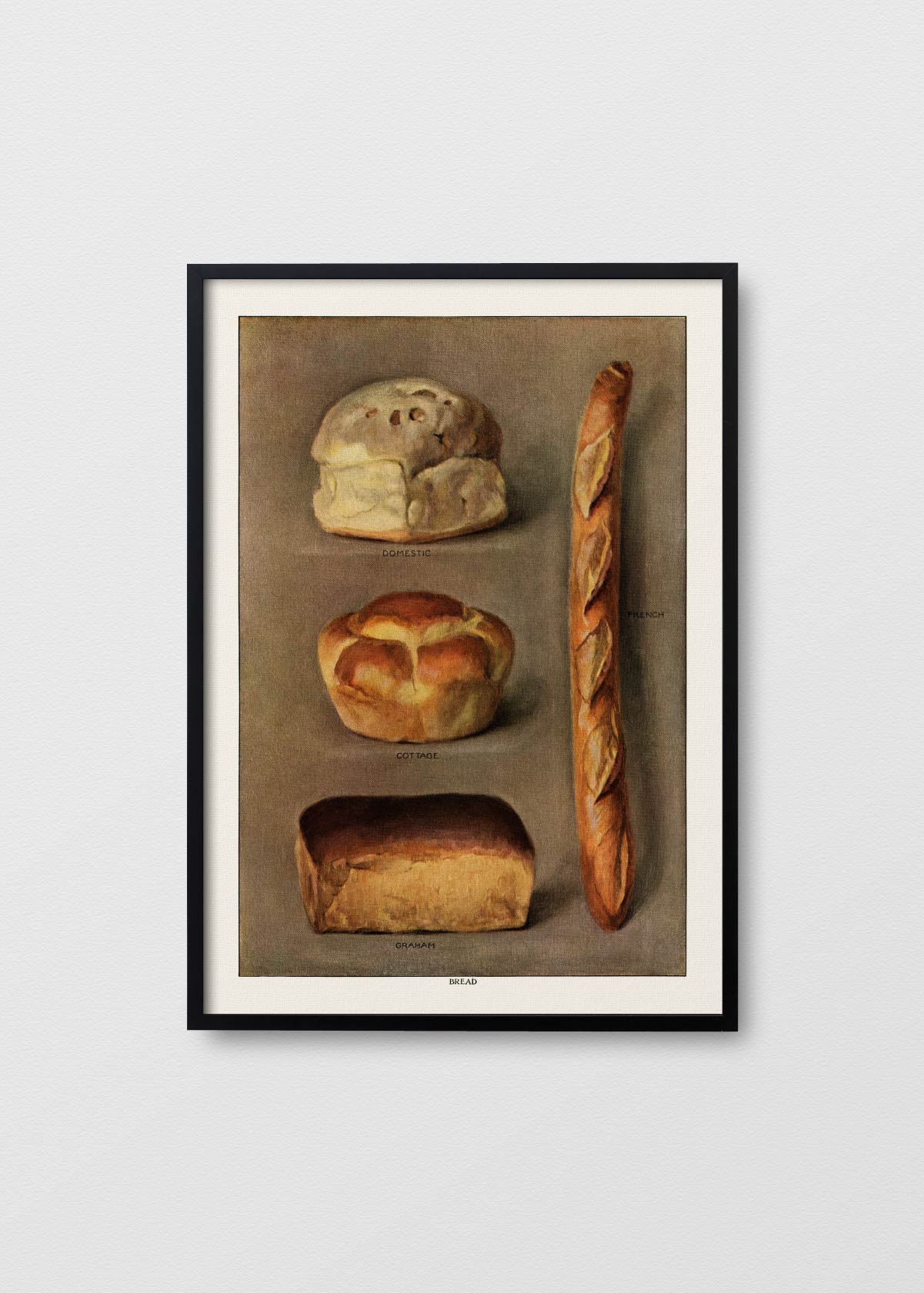 Le Pain Quotidien N2 - Testimoniaprints