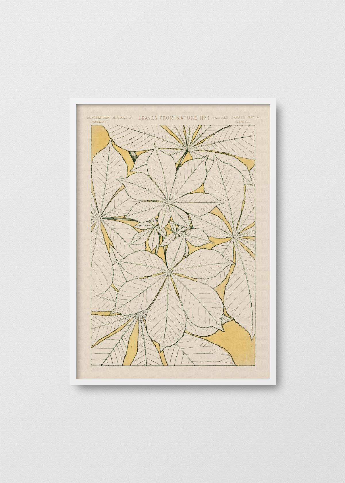 Leaves From Nature N1 - Testimoniaprints