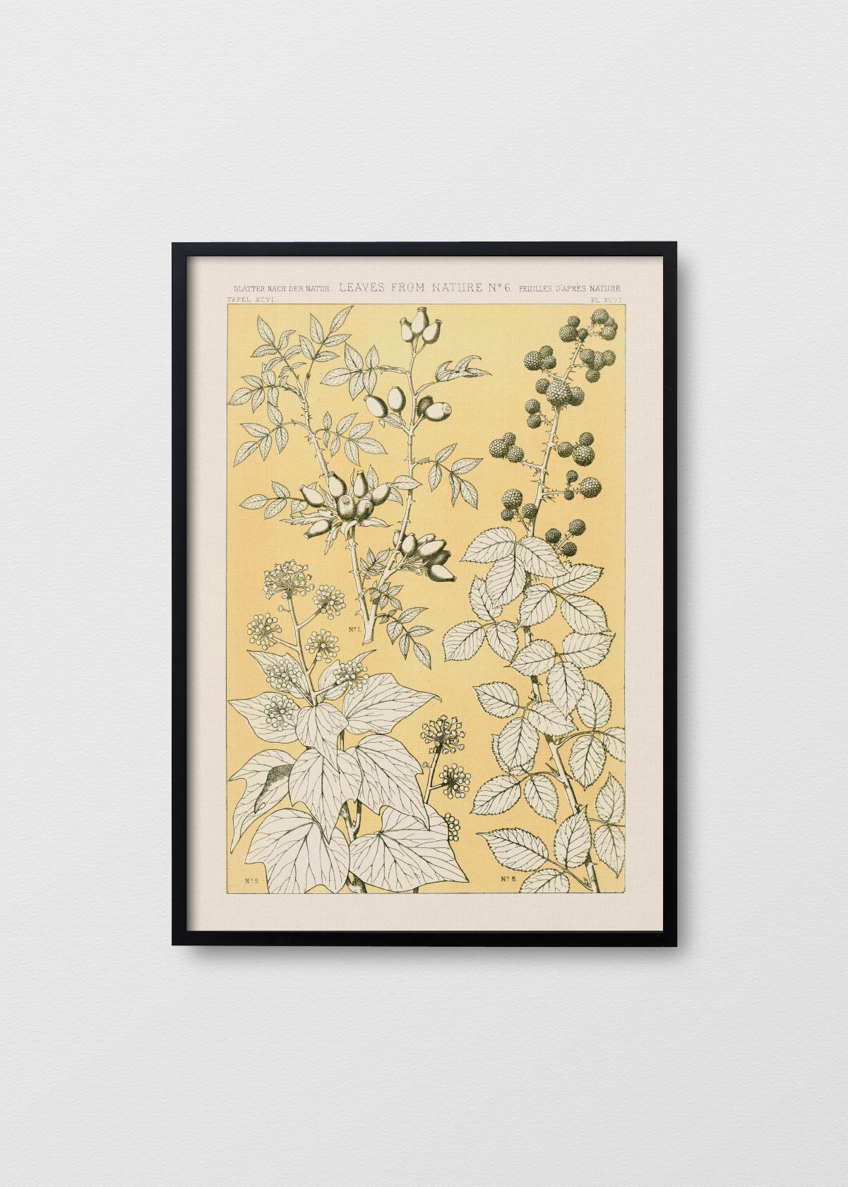 Leaves From Nature N6 - Testimoniaprints