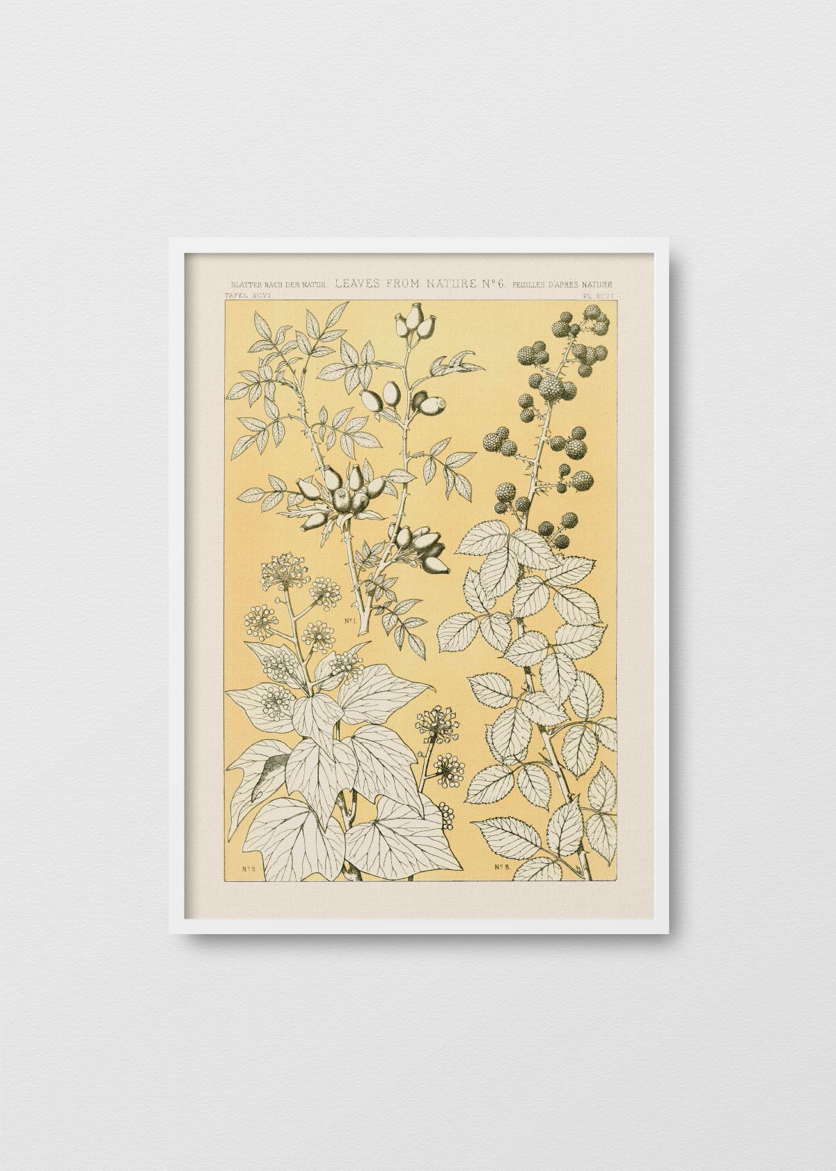 Leaves From Nature N6 - Testimoniaprints
