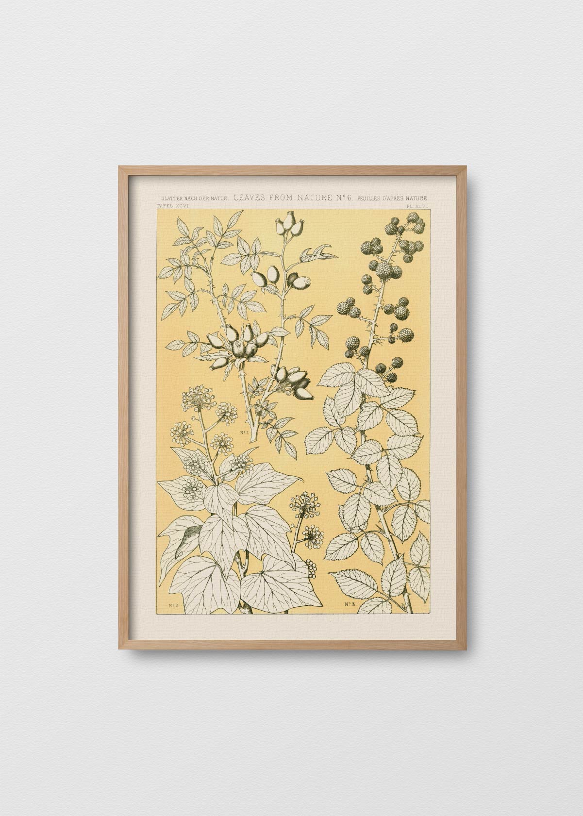 Leaves From Nature N6 - Testimoniaprints