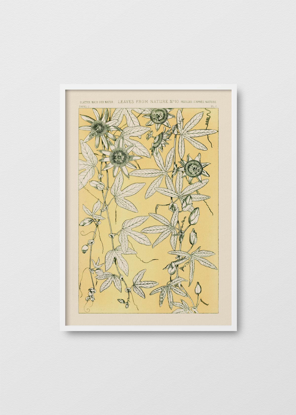 Leaves From Nature N9 - Testimoniaprints