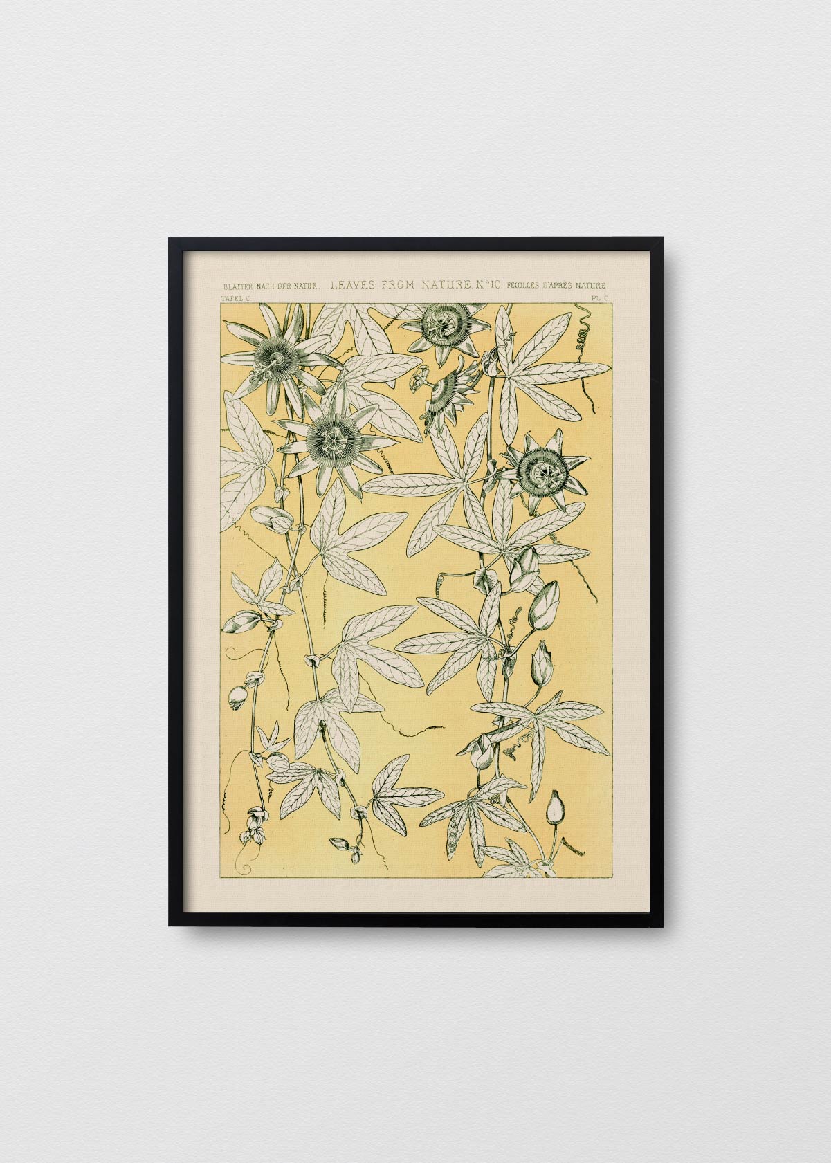 Leaves From Nature N9 - Testimoniaprints