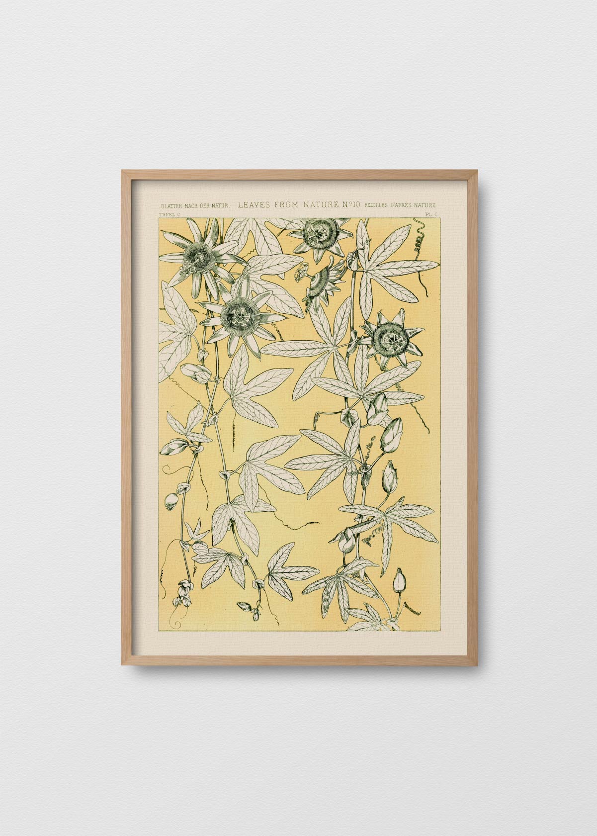 Leaves From Nature N9 - Testimoniaprints