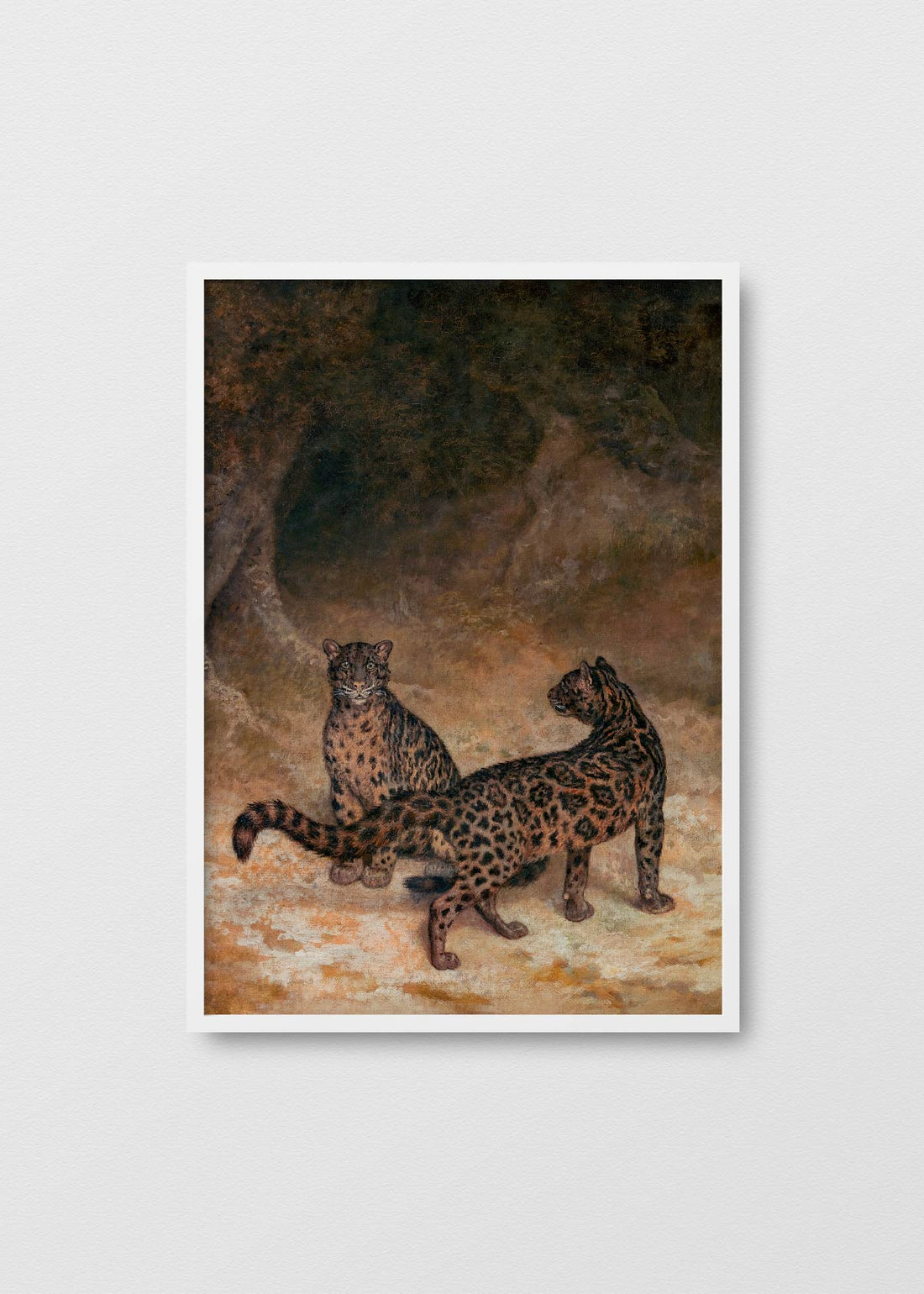 Leopardos - Testimoniaprints