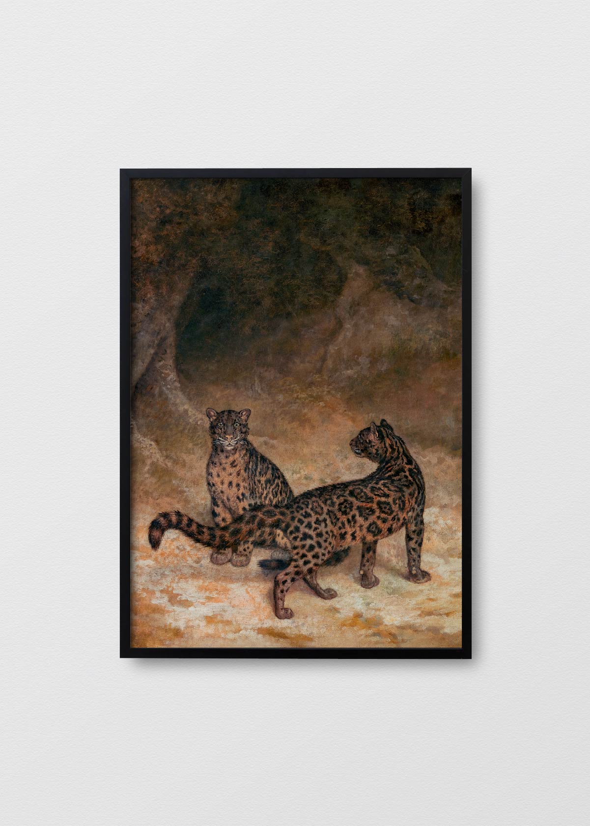 Leopardos - Testimoniaprints