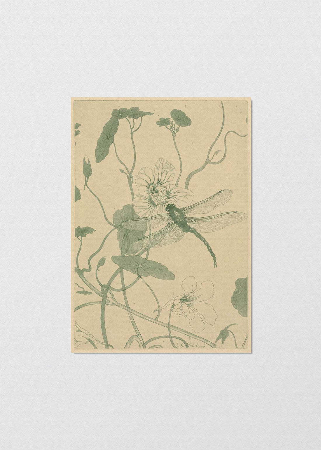Libelle op Blomen - Testimoniaprints