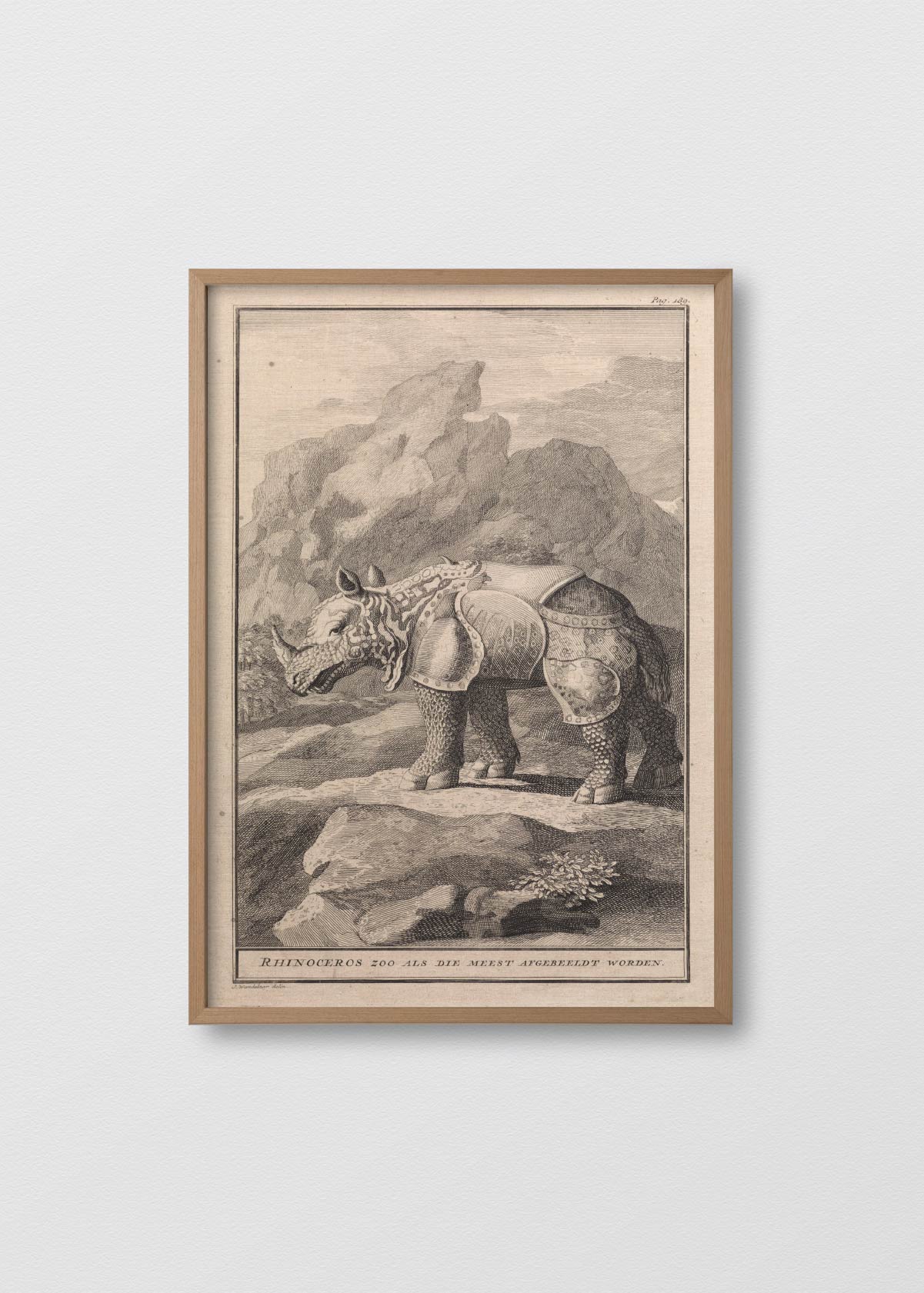 Lino Ancient Rhino - Testimoniaprints