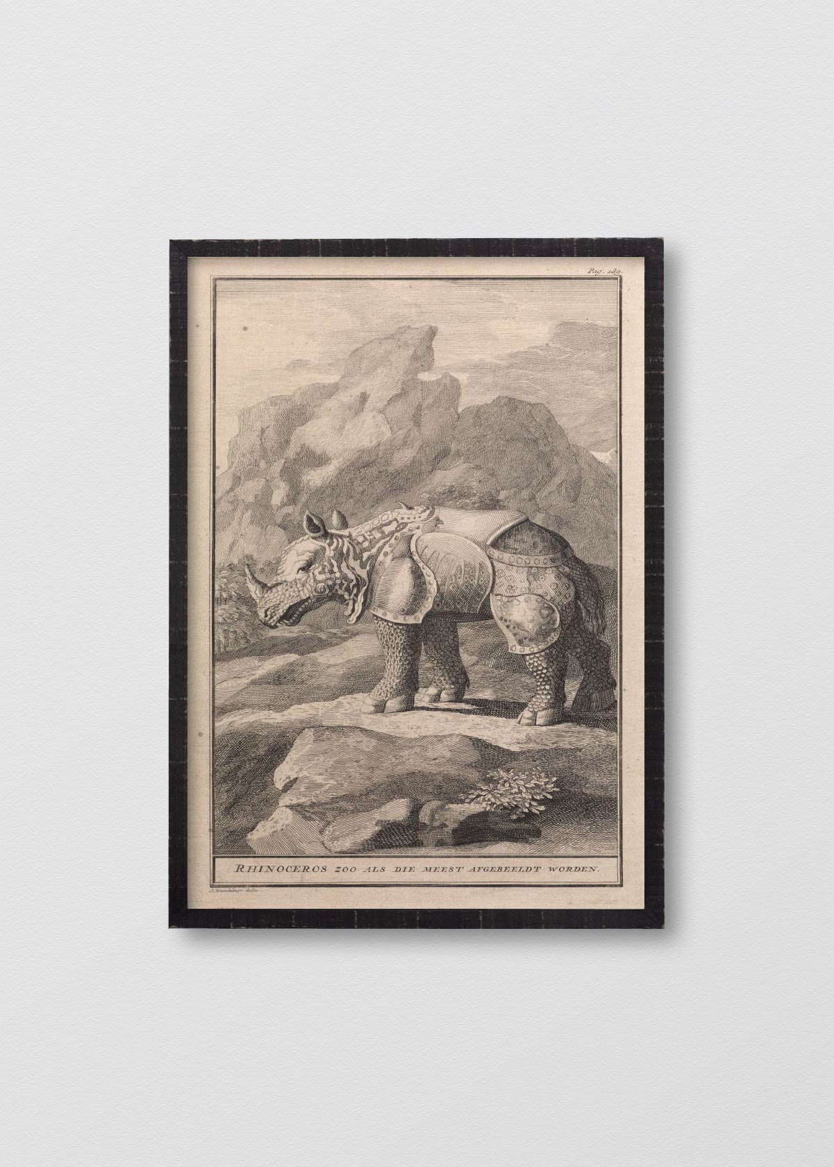 Lino Ancient Rhino - Testimoniaprints